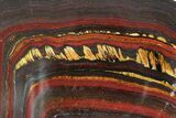 Polished Tiger Iron Stromatolite Slab - Billion Years #351818-1